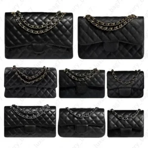 Luxury Chain shoulder bag